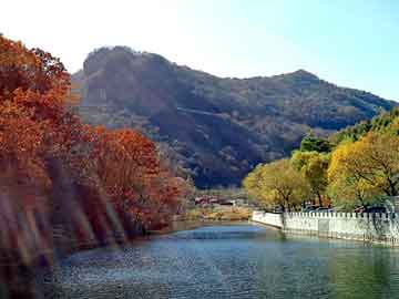 澳门二四六天天彩图库，警用器材